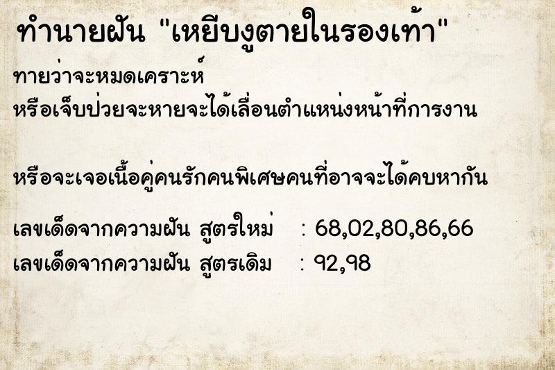 ทำนายฝันทำนายฝันเหยีบงูตายในรองเท้า