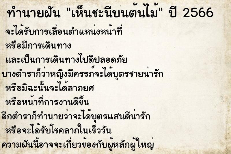 ทำนายฝันเห็นชะนีบนต้นไม้ ทำนายฝันทำนายฝันเห็นชะนีบนต้นไม้