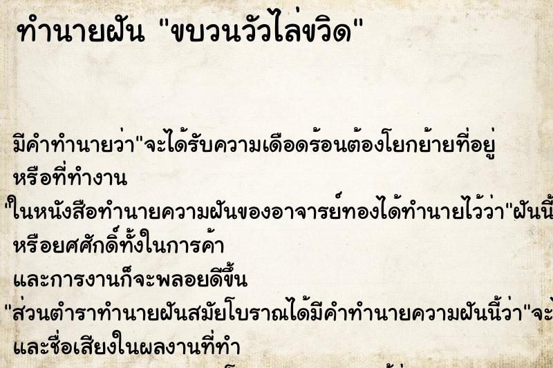 ทำนายฝัน ขบวนวัวไล่ขวิด ทำนายฝัน ขบวนวัวไล่ขวิด