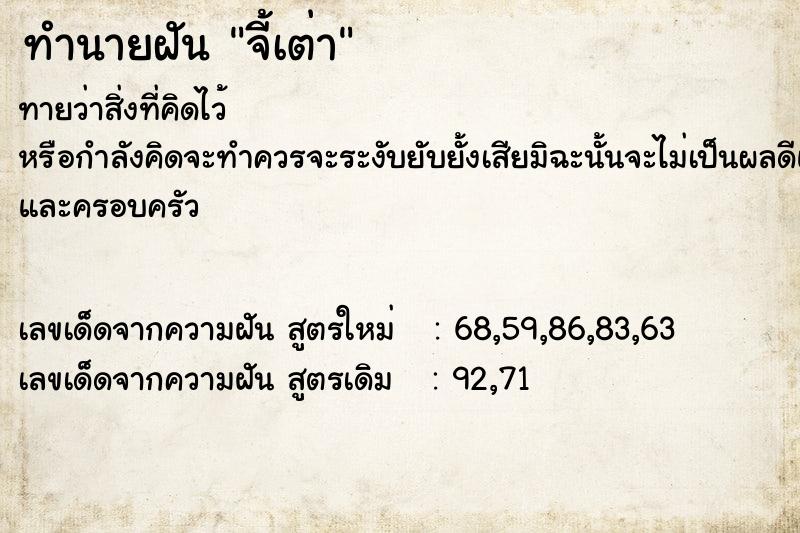 ทำนายฝันจี้เต่า ทำนายฝันทำนายฝันจี้เต่า