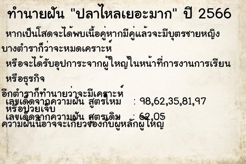 ทำนายฝัน ปลาไหลเยอะมาก ทำนายฝัน ปลาไหลเยอะมาก