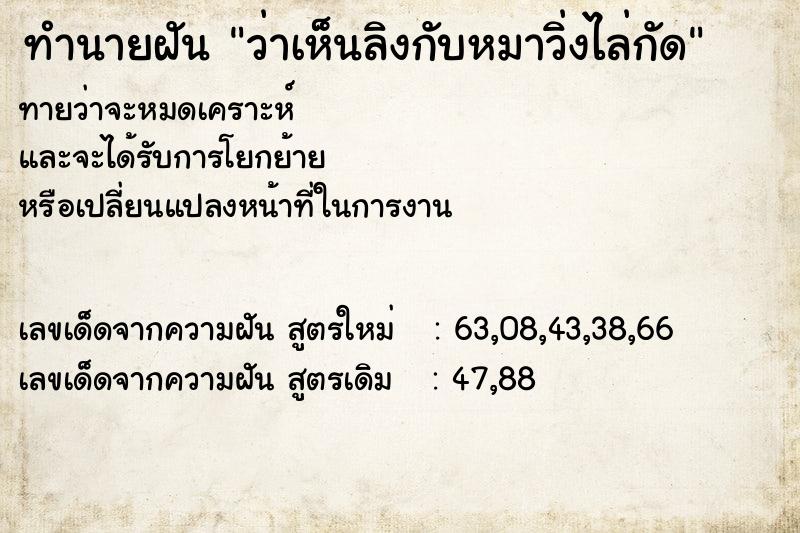 ทำนายฝันทำนายฝันว่าเห็นลิงกับหมาวิ่งไล่กัด