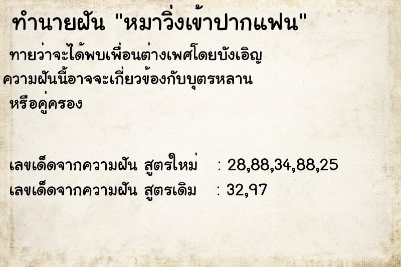 ทำนายฝันหมาวิ่งเข้าปากแฟน ทำนายฝันทำนายฝันหมาวิ่งเข้าปากแฟน
