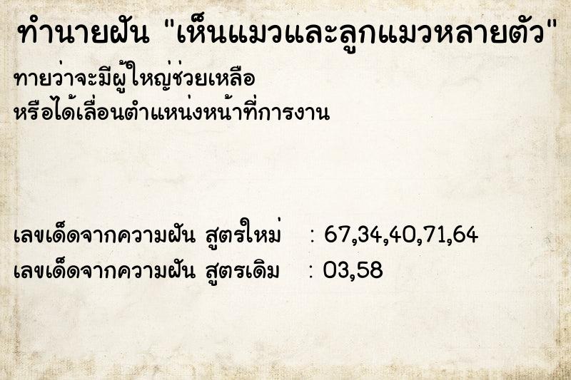 ทำนายฝันเห็นแมวและลูกแมวหลายตัว ทำนายฝันทำนายฝันเห็นแมวและลูกแมวหลายตัว