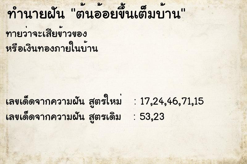 ทำนายฝันต้นอ้อยขึ้นเต็มบ้าน ทำนายฝันทำนายฝันต้นอ้อยขึ้นเต็มบ้าน