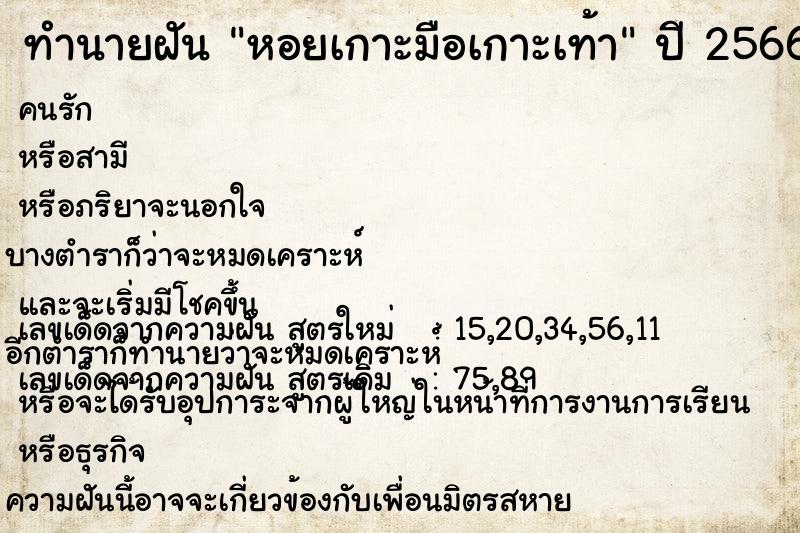 ทำนายฝันทำนายฝันหอยเกาะมือเกาะเท้า