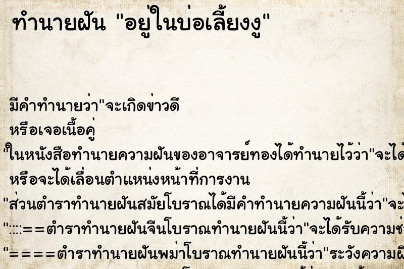ทำนายฝันทำนายฝันอยู่ในบ่อเลี้ยงงู
