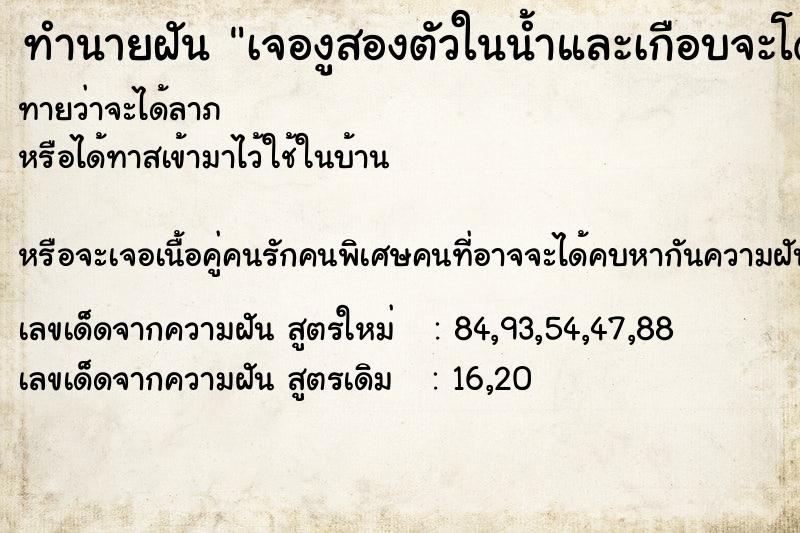 ทำนายฝันทำนายฝันเจองูสองตัวในน้ำและเกือบจะโดนงูฉก