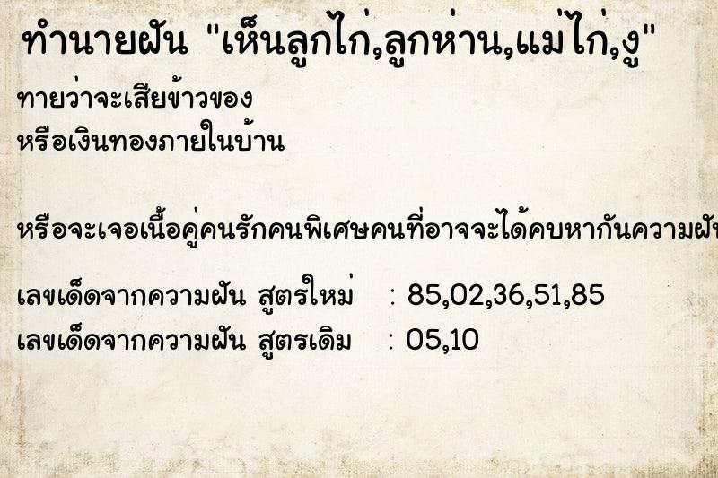 ทำนายฝันเห็นลูกไก่,ลูกห่าน,แม่ไก่,งู ทำนายฝันทำนายฝันเห็นลูกไก่,ลูกห่าน,แม่ไก่,งู