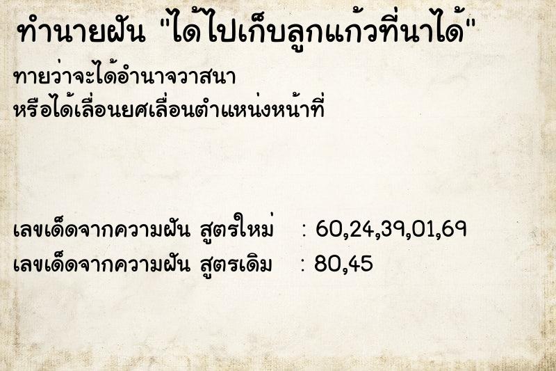 ทำนายฝัน ได้ไปเก็บลูกแก้วที่นาได้ ทำนายฝัน ได้ไปเก็บลูกแก้วที่นาได้
