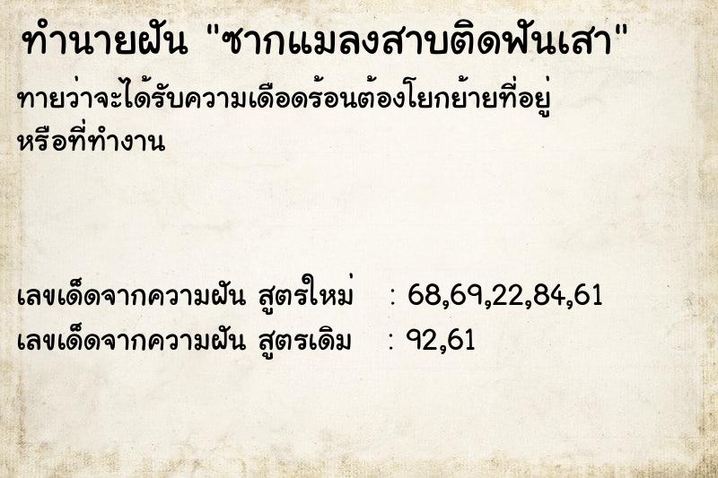 ทำนายฝันทำนายฝันซากแมลงสาบติดฟันเสา