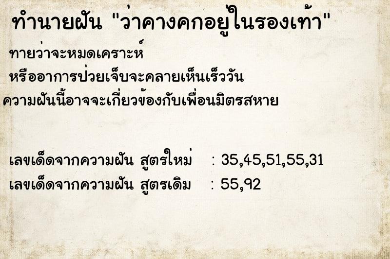 ทำนายฝัน ว่าคางคกอยู่ในรองเท้า ทำนายฝัน ว่าคางคกอยู่ในรองเท้า