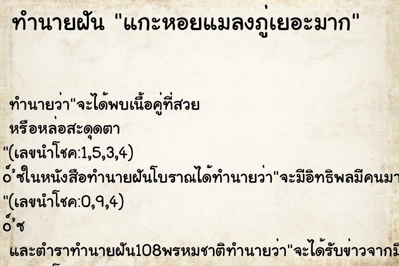 ทำนายฝัน แกะหอยแมลงภู่เยอะมาก ตำราโบราณ แม่นที่สุดในโลก