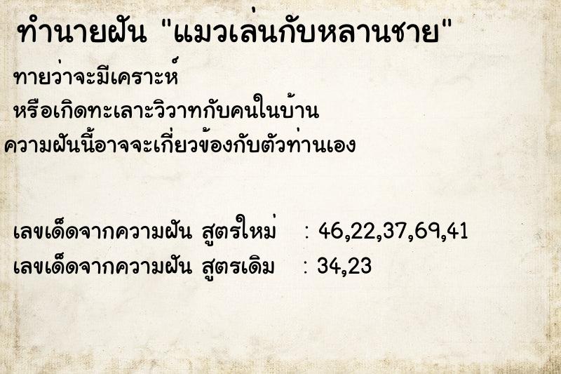 ทำนายฝันทำนายฝันแมวเล่นกับหลานชาย
