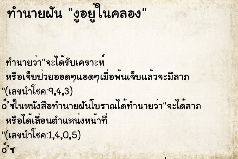 ทำนายฝัน งูอยู่ในคลอง ตำราโบราณ แม่นที่สุดในโลก