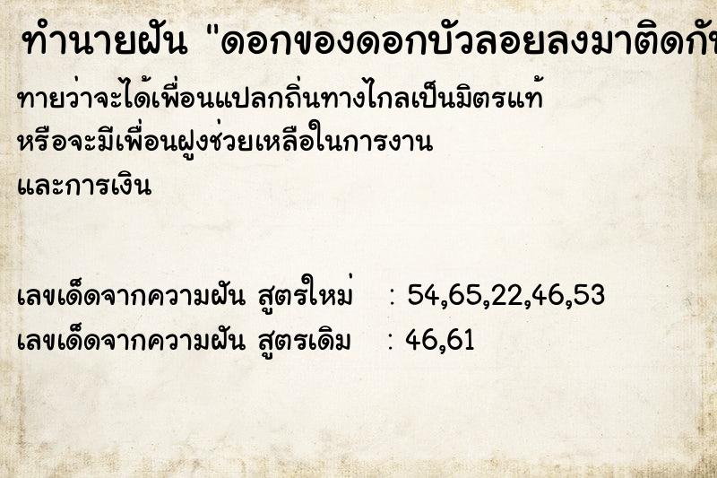 ทำนายฝันทำนายฝันดอกของดอกบัวลอยลงมาติดกับก้าน