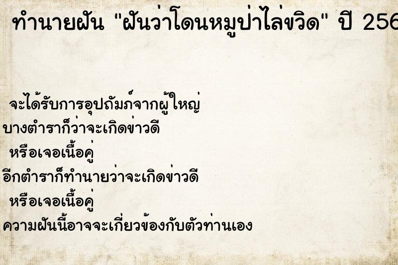 ทำนายฝันฝันว่าโดนหมูป่าไล่ขวิด ทำนายฝันทำนายฝันฝันว่าโดนหมูป่าไล่ขวิด