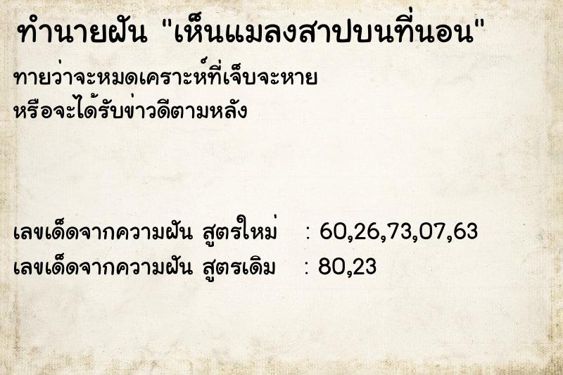 ทำนายฝันทำนายฝันเห็นแมลงสาปบนที่นอน