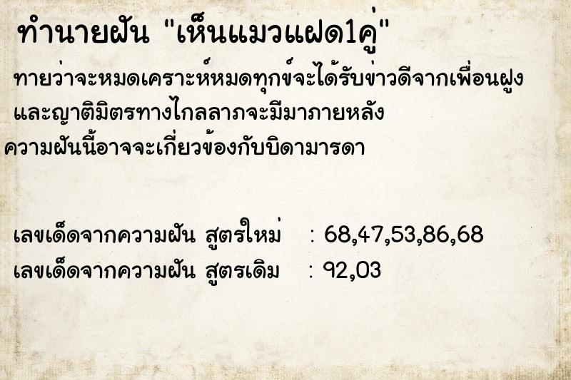ทำนายฝันทำนายฝันเห็นแมวแฝด1คู่