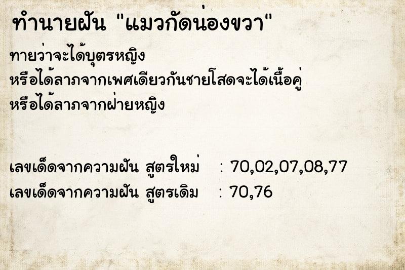 ทำนายฝันทำนายฝันแมวกัดน่องขวา