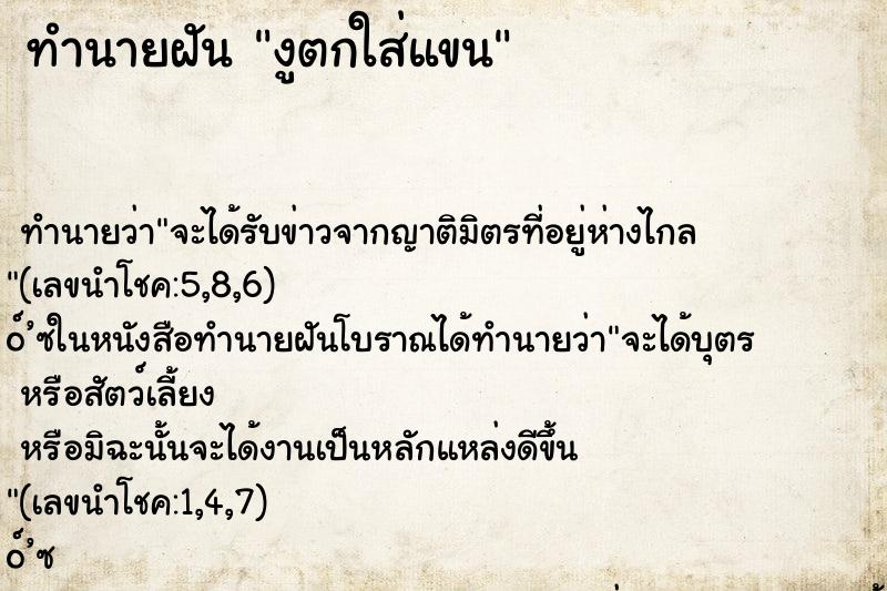 ทำนายฝันงูตกใส่แขน ทำนายฝันทำนายฝันงูตกใส่แขน