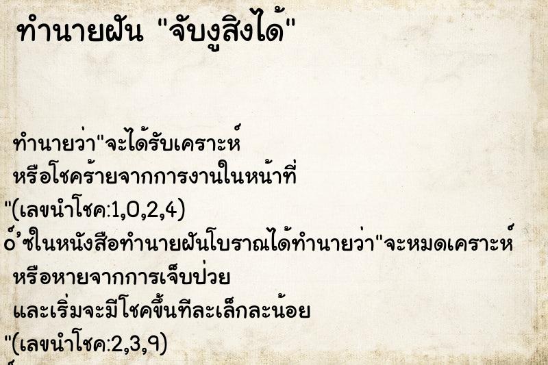 ทำนายฝันจับงูสิงได้ ทำนายฝันทำนายฝันจับงูสิงได้