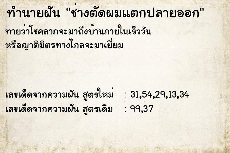 ทำนายฝันช่างตัดผมแตกปลายออก ทำนายฝันทำนายฝันช่างตัดผมแตกปลายออก