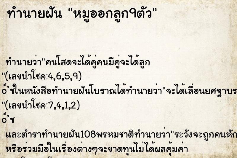 ทำนายฝันหมูออกลูก9ตัว ทำนายฝันทำนายฝันหมูออกลูก9ตัว