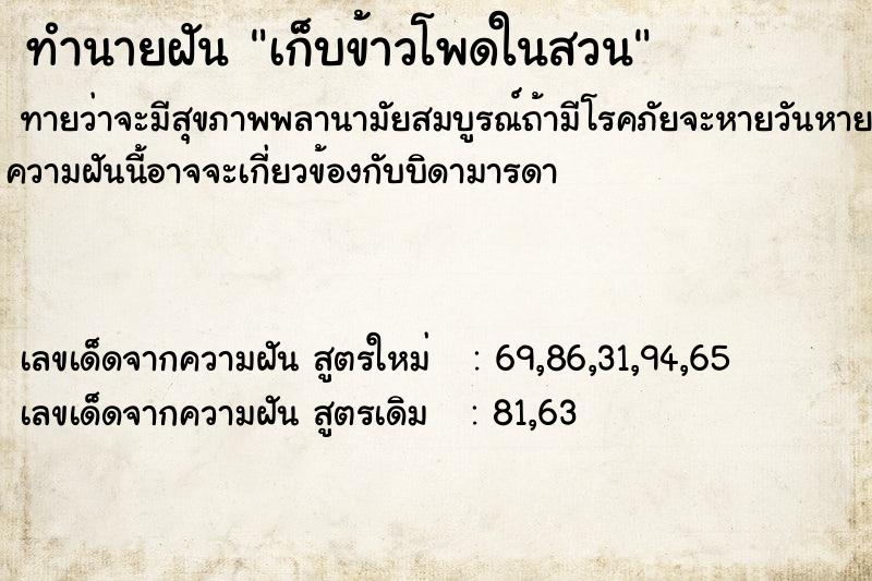 ทำนายฝันทำนายฝันเก็บข้าวโพดในสวน