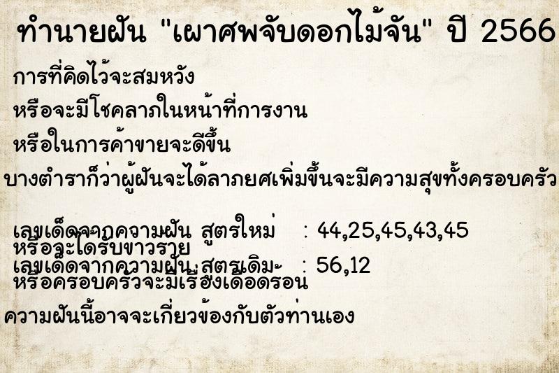 ทำนายฝันทำนายฝันเผาศพจับดอกไม้จัน