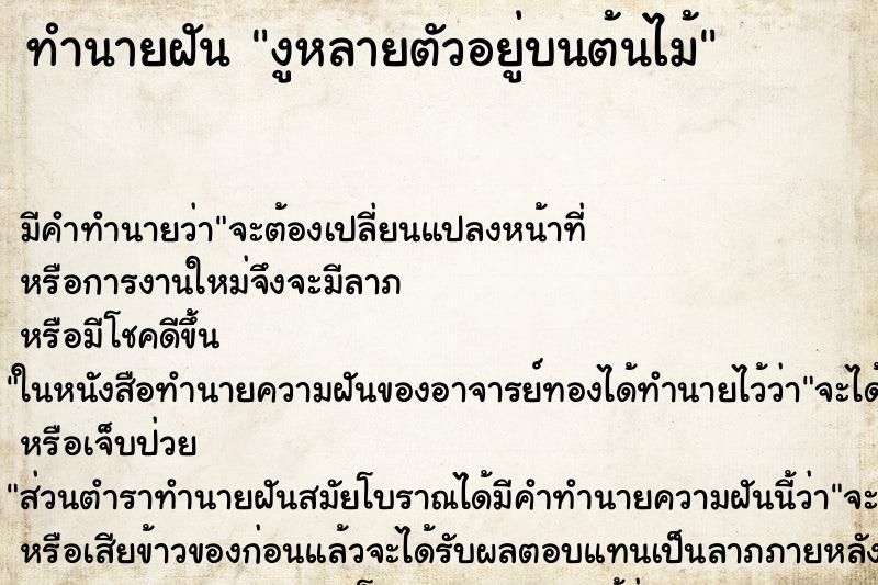 ทำนายฝัน งูหลายตัวอยู่บนต้นไม้ ทำนายฝัน งูหลายตัวอยู่บนต้นไม้
