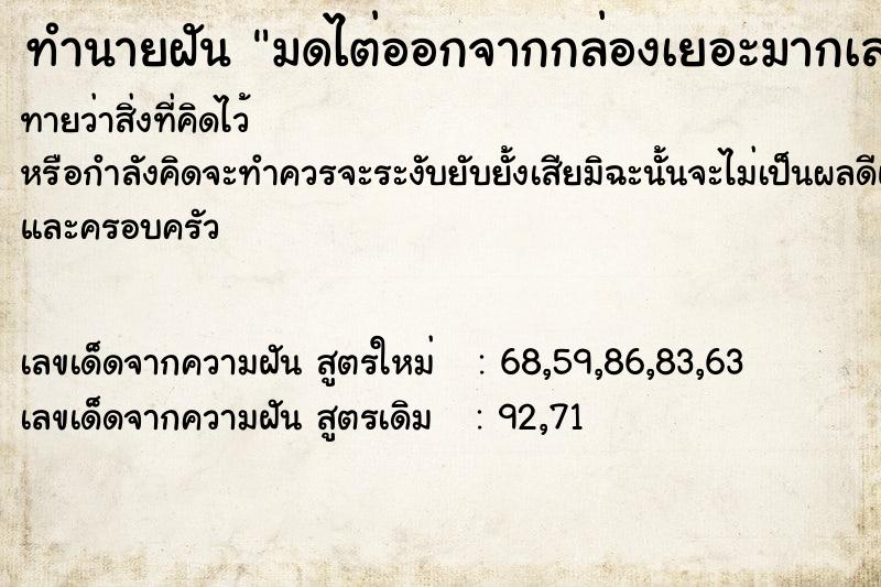 ทำนายฝันทำนายฝันมดไต่ออกจากกล่องเยอะมากเลยมดดำ