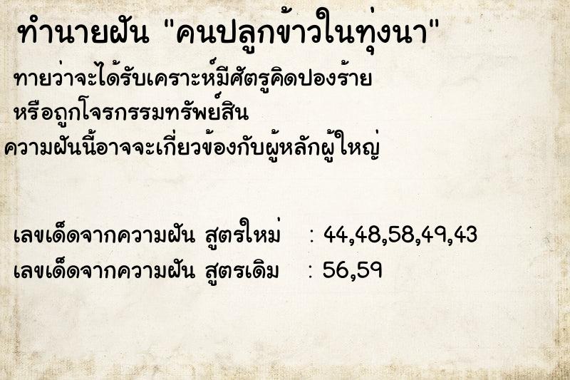 ทำนายฝันคนปลูกข้าวในทุ่งนา ทำนายฝันทำนายฝันคนปลูกข้าวในทุ่งนา