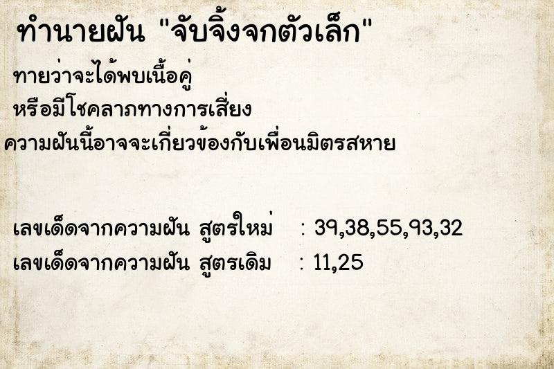 ทำนายฝันทำนายฝันจับจิ้งจกตัวเล็ก