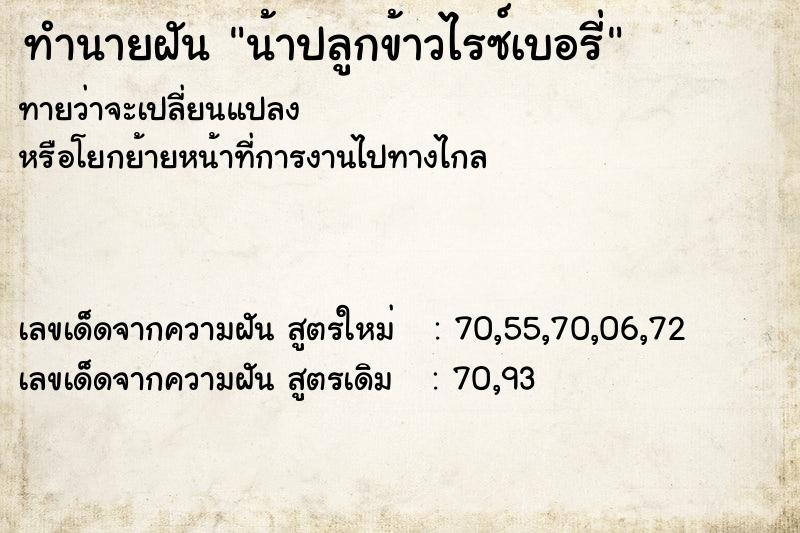 ทำนายฝันทำนายฝันน้าปลูกข้าวไรซ์เบอรี่