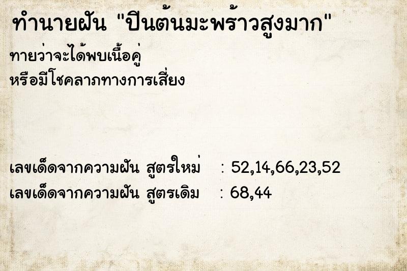 ทำนายฝันทำนายฝันปีนต้นมะพร้าวสูงมาก