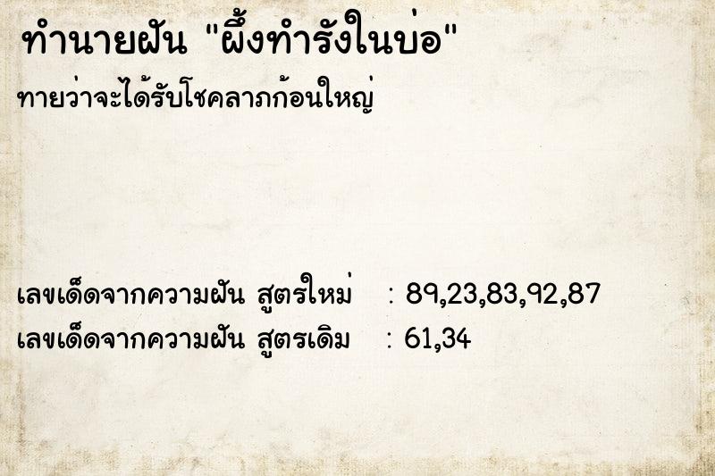 ทำนายฝันผึ้งทำรังในบ่อ ทำนายฝันทำนายฝันผึ้งทำรังในบ่อ