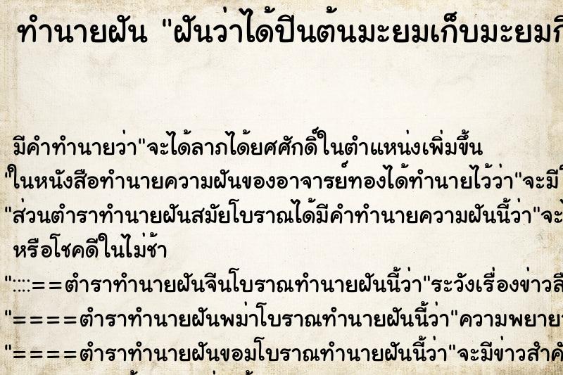 ทำนายฝันทำนายฝันฝันว่าได้ปีนต้นมะยมเก็บมะยมกินมะยมมีแต่ลูกงาม