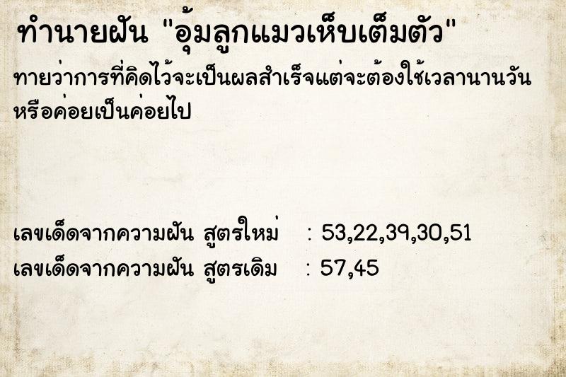 ทำนายฝันทำนายฝันอุ้มลูกแมวเห็บเต็มตัว