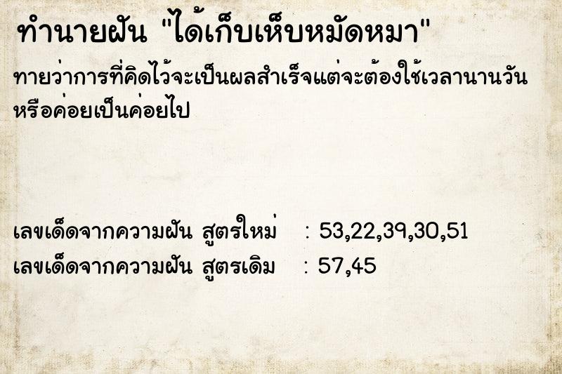 ทำนายฝัน ได้เก็บเห็บหมัดหมา ทำนายฝัน ได้เก็บเห็บหมัดหมา