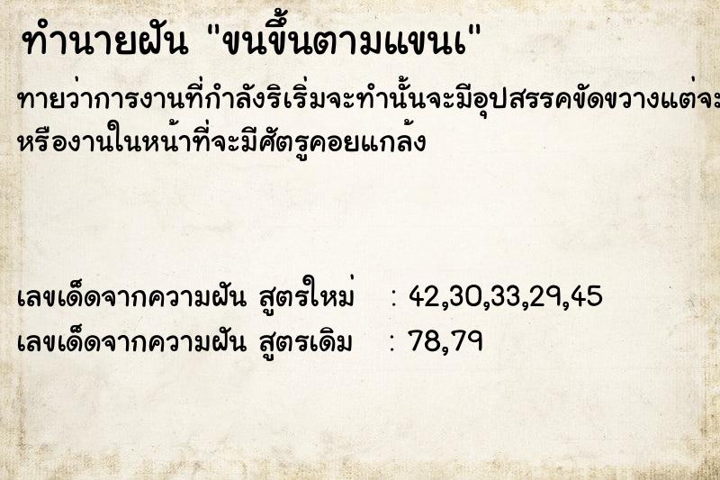 ทำนายฝันขนขึ้นตามแขนà ทำนายฝันทำนายฝันขนขึ้นตามแขนà