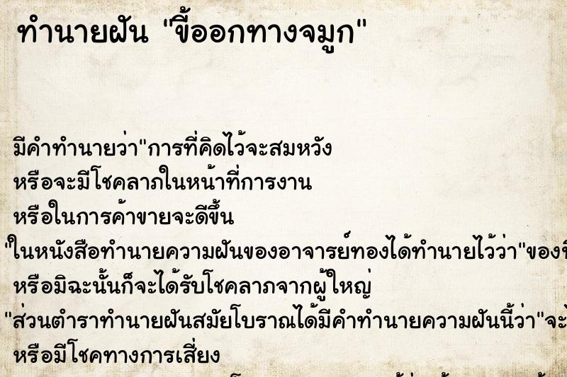 ทำนายฝัน ขี้ออกทางจมูก ทำนายฝัน ขี้ออกทางจมูก