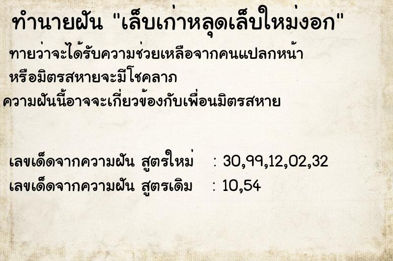 ทำนายฝันเล็บเก่าหลุดเล็บใหม่งอก ทำนายฝันทำนายฝันเล็บเก่าหลุดเล็บใหม่งอก