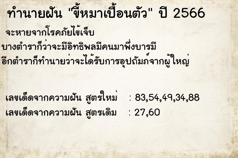ทำนายฝันขี้หมาเปื้อนตัว ทำนายฝันทำนายฝันขี้หมาเปื้อนตัว
