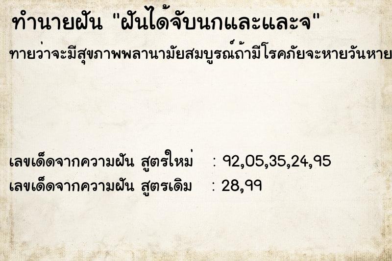 ทำนายฝันฝันได้จับนกและและจ ทำนายฝันทำนายฝันฝันได้จับนกและและจ