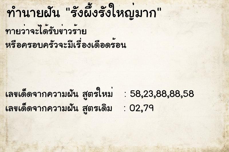 ทำนายฝันรังผึ้งรังใหญ่มาก ทำนายฝันทำนายฝันรังผึ้งรังใหญ่มาก