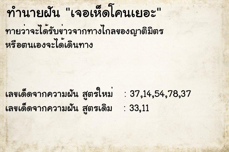 ทำนายฝันเจอเห็ดโคนเยอะ ทำนายฝันทำนายฝันเจอเห็ดโคนเยอะ