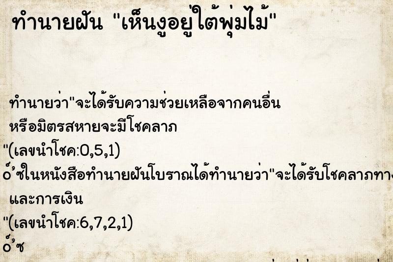ทำนายฝันเห็นงูอยู่ใต้พุ่มไม้ ทำนายฝันทำนายฝันเห็นงูอยู่ใต้พุ่มไม้
