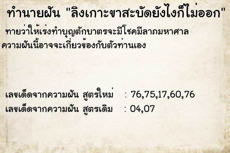 ทำนายฝันทำนายฝันลิงเกาะขาสะบัดยังไงก็ไม่ออก