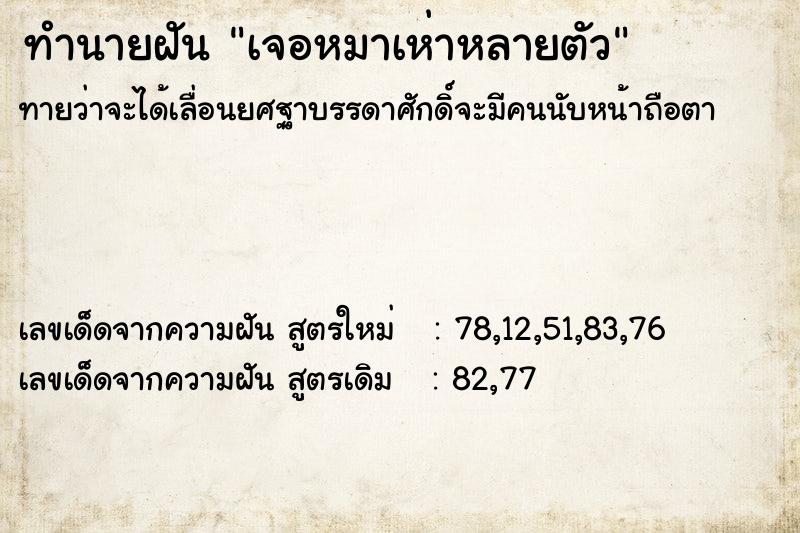 ทำนายฝัน เจอหมาเห่าหลายตัว ตำราโบราณ แม่นที่สุดในโลก